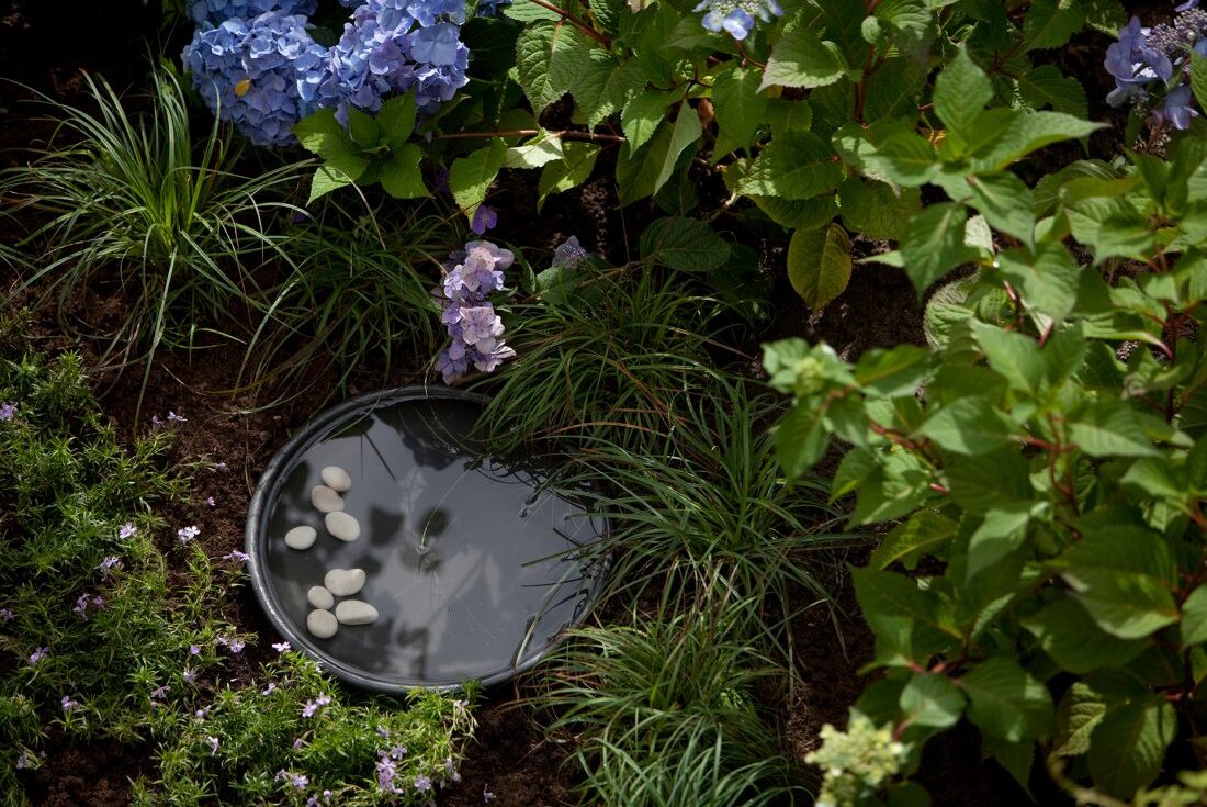 Kekkilä Standard Gardens water detail