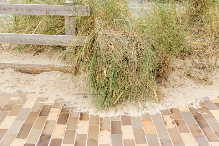 Fanø Bad teglbelægning natur strand overgang